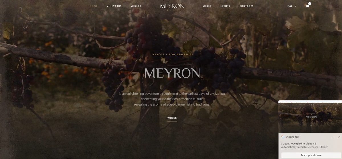 meyron.wine